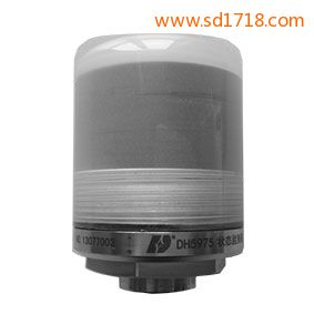 狀態(tài)監(jiān)測器DH5975