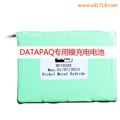 DATAPAQ爐溫測試儀電池BP1024A NEW