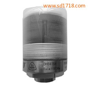 無線狀態(tài)監(jiān)測器DH5975W