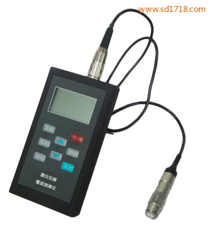 涂層測(cè)厚儀(磁性+渦流兩用)CTG260