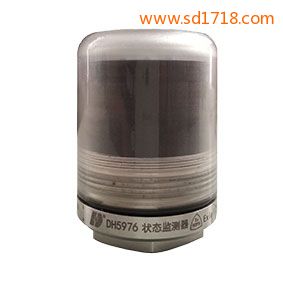 軸承狀態(tài)監(jiān)測器DH5976