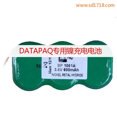 DATAPAQ爐溫測試儀電池BP 1061A